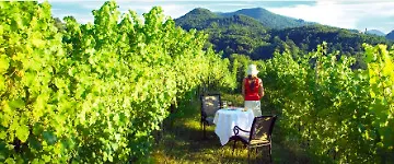 Terme Due Torri - Adults Hideaway & Hotel 5*